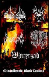 Satanic Forest : Misanthropic Black Legions